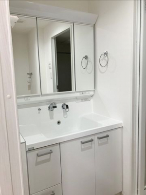 ���ʑ�E���ʏ��@����