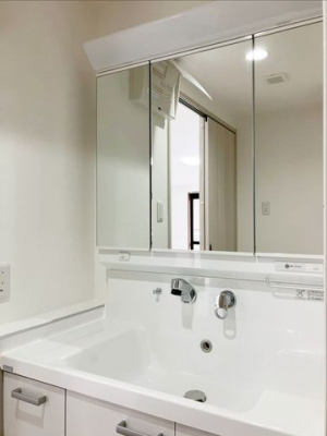 ���ʑ�E���ʏ��@����